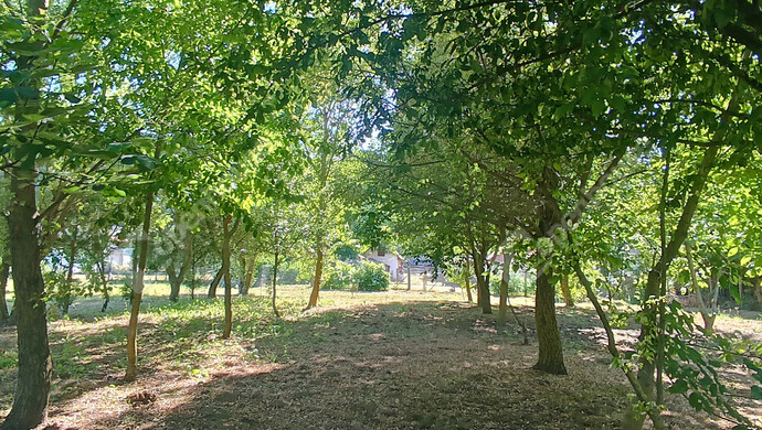 19. kép | Eladó Családi ház, Somogybabod (#177793)