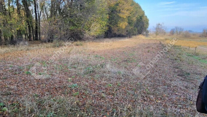 4. kép | Eladó Mezőgazdasági, Zsombó (#178321)