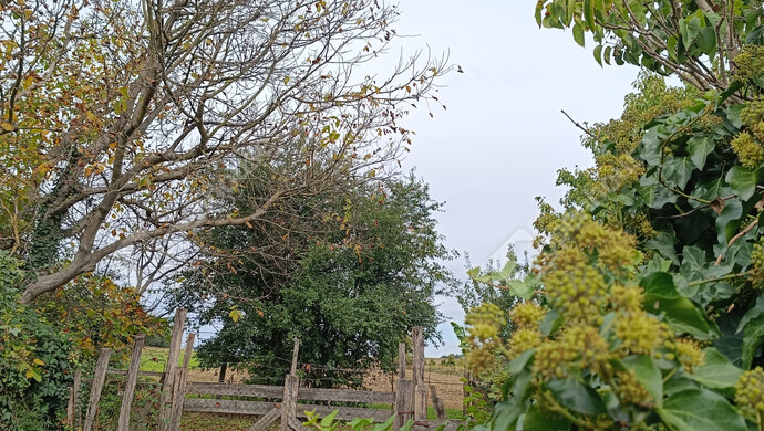 28. kép | Eladó Családi ház, Zalamerenye (#177576)