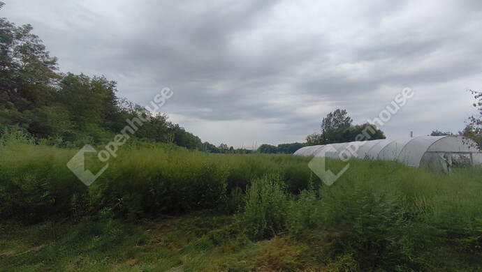 5. kép | Eladó Családi ház, Marcali (#177836)