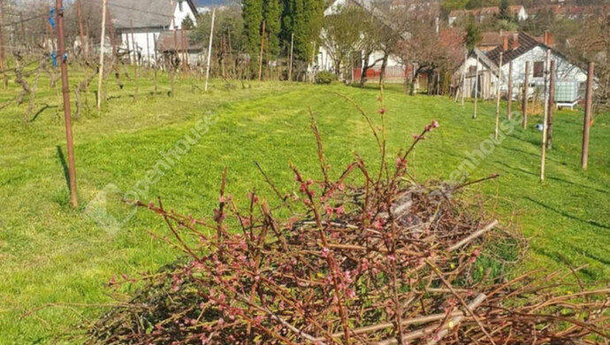 14. kép | Eladó Családi ház, Zalaegerszeg (#177461)