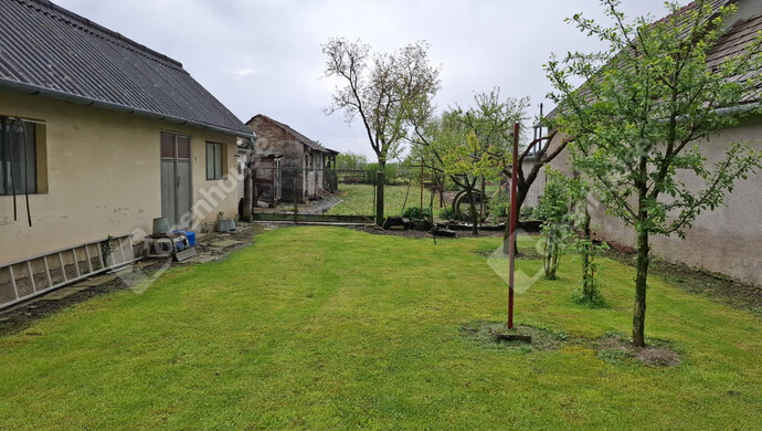 21. kép | Eladó Családi ház, Gyékényes (#174795)