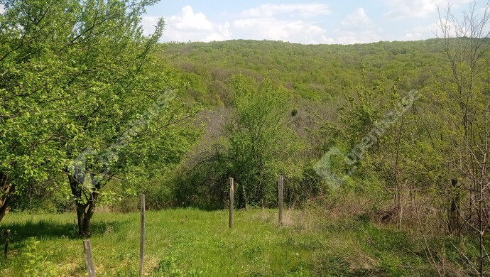 15. kép | Eladó Zárt kert, Zalaegerszeg (#181193)