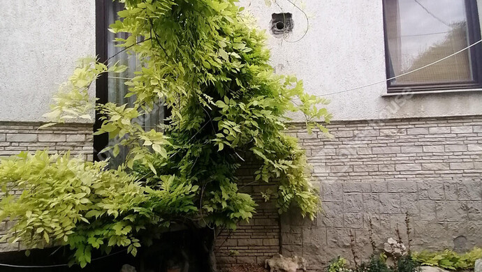 8. kép | Eladó Családi ház, Győr (#176278)