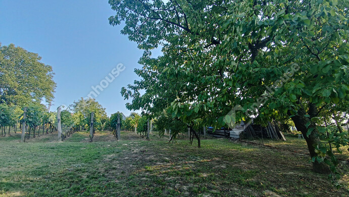 17. kép | Eladó Családi ház, Marcali (#177837)