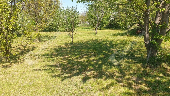 6. kép | Eladó Zárt kert, Deszk (#169722)