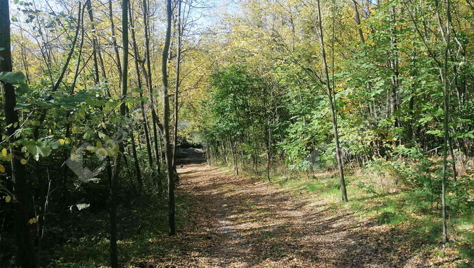 15. kép | Eladó Nyaraló, Zalaigrice (#178070)