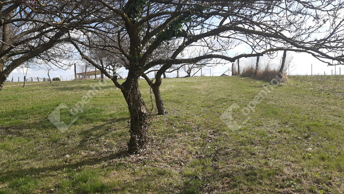 5. kép | Eladó Zárt kert, Sand (#180348)