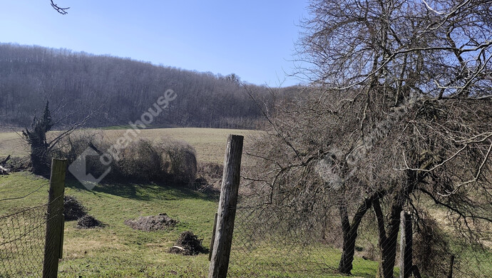 24. kép | Eladó Családi ház, Borsfa (#180227)