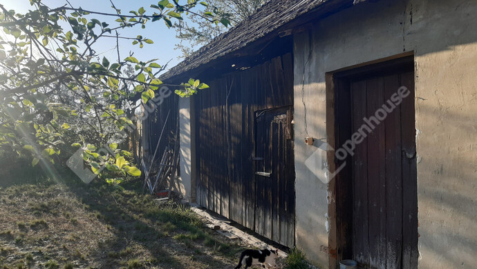 50. kép | Eladó Családi ház, Belezna (#180874)