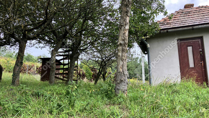 5. kép | Eladó Zárt kert,  (#177177)