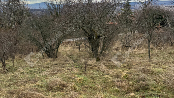 2. kép | Eladó Telek, Szentendre (#180010)