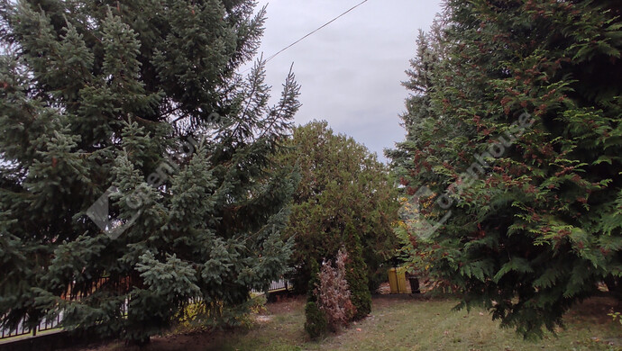 21. kép | Eladó Családi ház, Balatonfenyves (#178128)