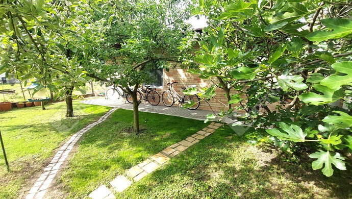 16. kép | Eladó Családi ház, Balatonföldvár (#179105)