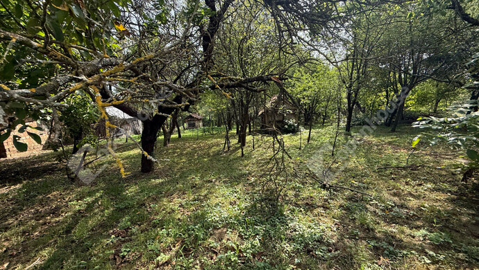 8. kép | Eladó Családi ház, Becsvölgye (#176934)