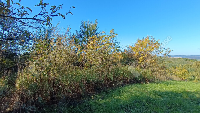 5. kép | Eladó Családi ház, Újudvar (#178058)