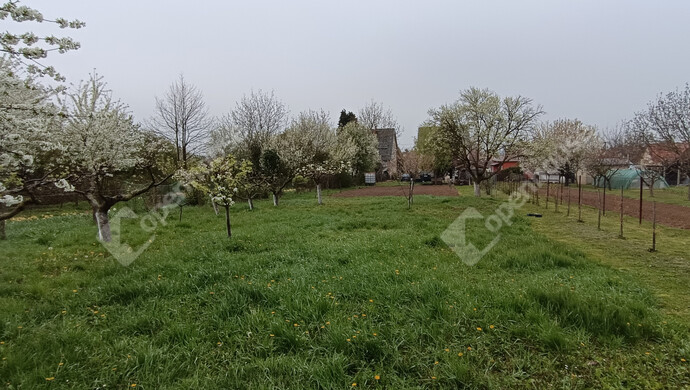 37. kép | Eladó Családi ház, Nagykanizsa (#181326)