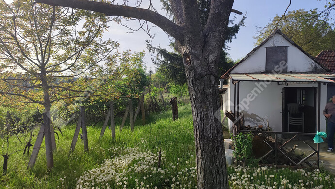 35. kép | Eladó Nyaraló, Homokkomárom (#174607)