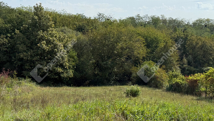 16. kép | Eladó Telek, Zalaegerszeg (#177033)