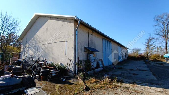 8. kép | Eladó Üzleti ingatlan, Hódmezővásárhely (#179455)