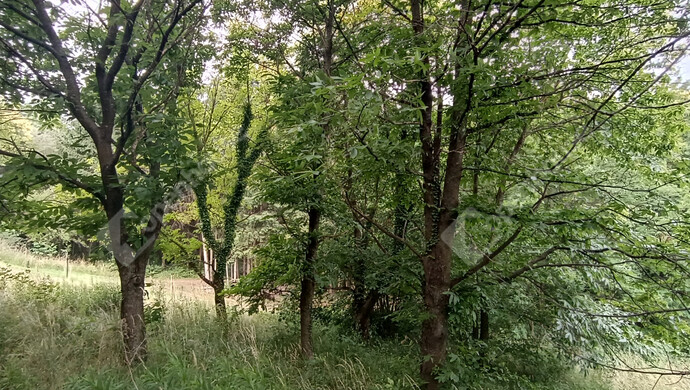 31. kép | Eladó Családi ház, Nagykanizsa (#175746)