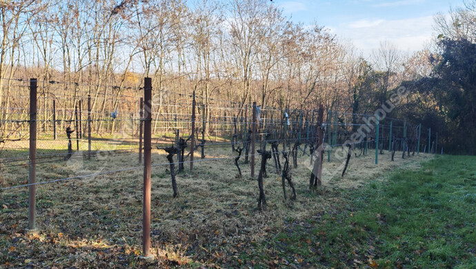 19. kép | Eladó Nyaraló, Letenye (#178652)