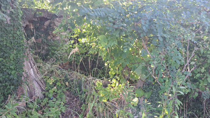 8. kép | Eladó Családi ház, Káptalantóti (#180046)