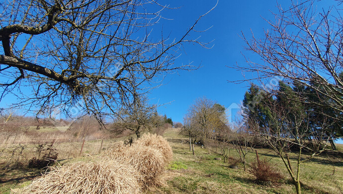 29. kép | Eladó Nyaraló, Homokkomárom (#180173)