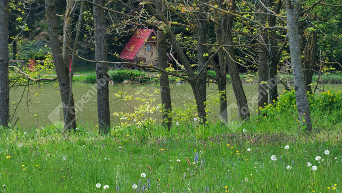 54. kép | Eladó Családi ház, Ötvöskónyi (#181241)