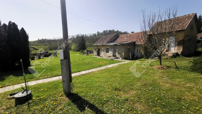 42. kép | Eladó Családi ház, Börzönce (#174686)