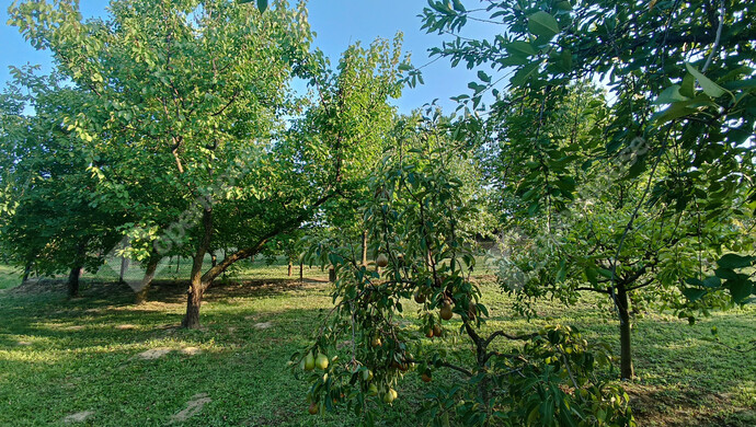 26. kép | Eladó Családi ház, Marcali (#177837)