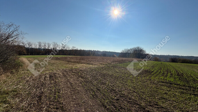 7. kép | Eladó Telek, Gomba (#178274)