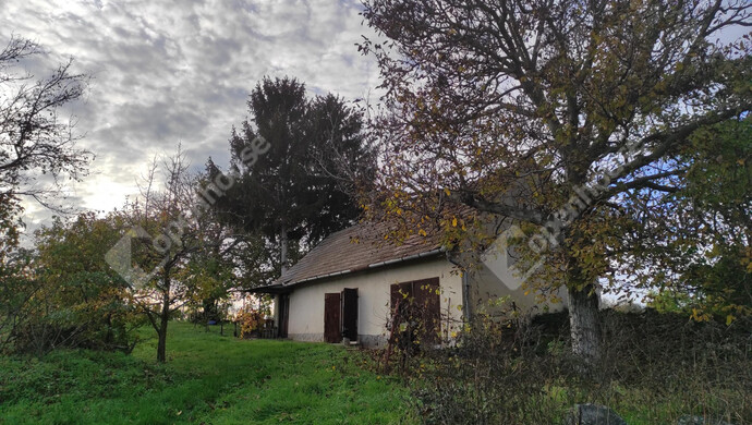 8. kép | Eladó Családi ház, Kéthely (#177851)