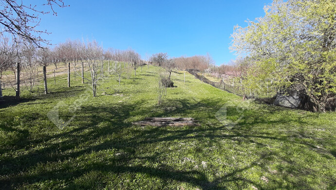 14. kép | Eladó Családi ház, Gősfa (#178305)