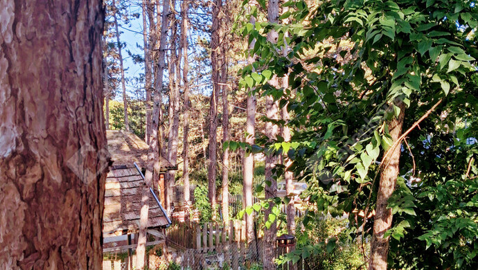 2. kép | Eladó Nyaraló, Komárom (#176831)