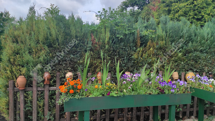 29. kép | Eladó Családi ház, Balatonföldvár (#179851)