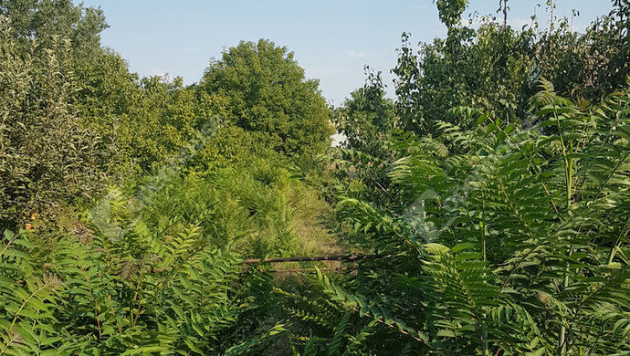 0. kép | Eladó Telek, Szeged (#170568)