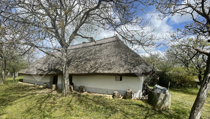 14. kép | Eladó Családi ház, Balatonberény (#177700)