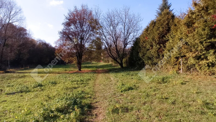 9. kép | Eladó Zárt kert, Zalaegerszeg (#69557)