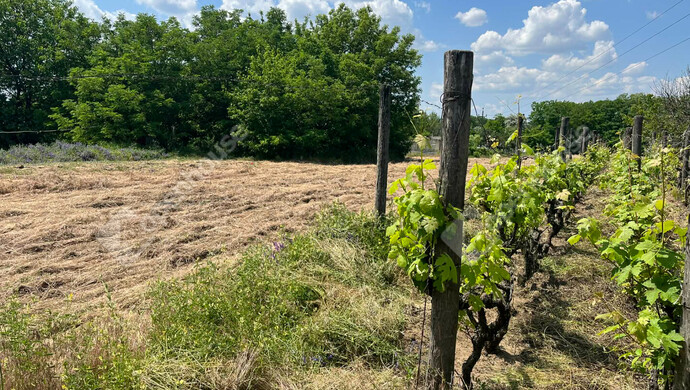 0. kép | Eladó Telek, Kecskemét (#178777)