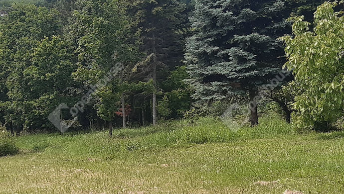 42. kép | Eladó Nyaraló, Nagykanizsa (#168944)