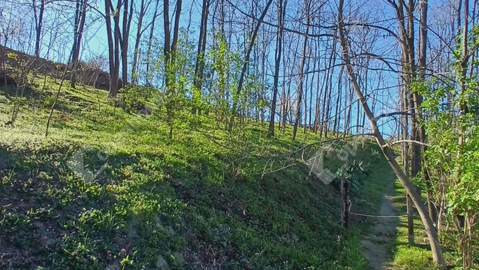 8. kép | Eladó Zárt kert, Ságvár (#177157)