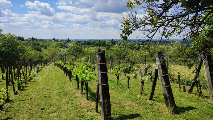 4. kép | Eladó Nyaraló, Nagykanizsa (#172030)