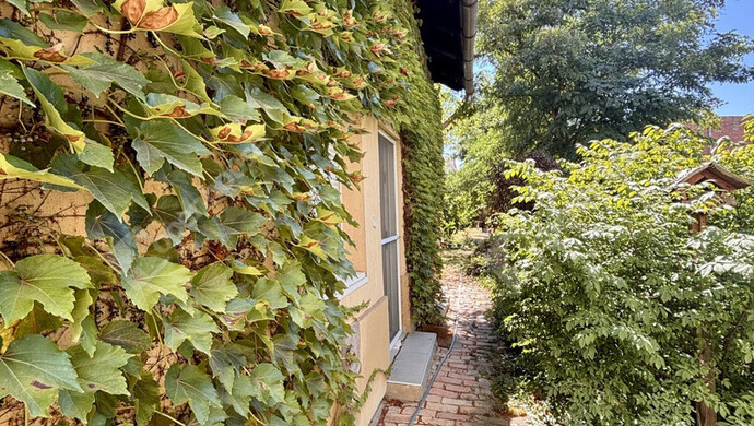 0. kép | Eladó Családi ház, Szeged (#183692)