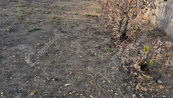 8. kép | Eladó Zárt kert, Szeged (#178419)