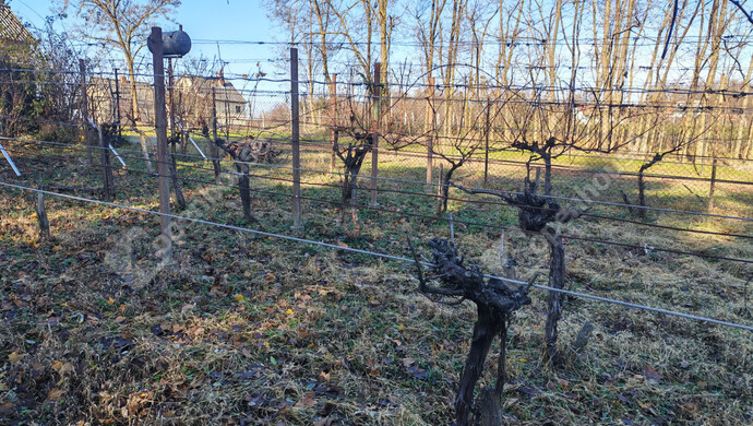 32. kép | Eladó Nyaraló, Letenye (#178652)