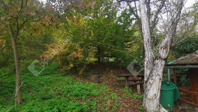 3. kép | Eladó Nyaraló, Homokkomárom (#179217)