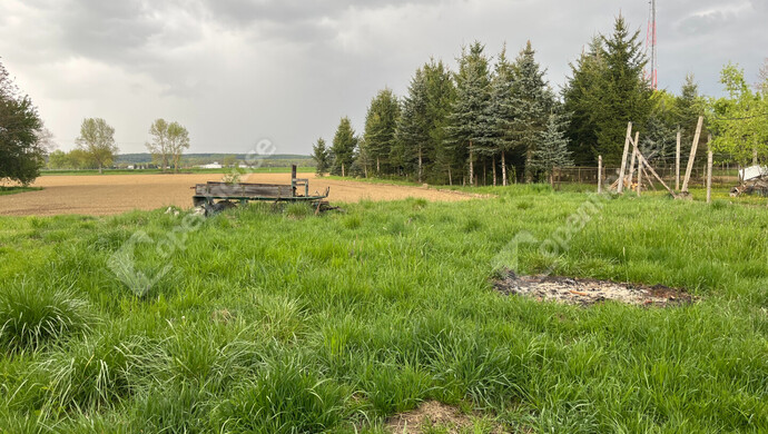 16. kép | Eladó Családi ház, Csörötnek (#181195)