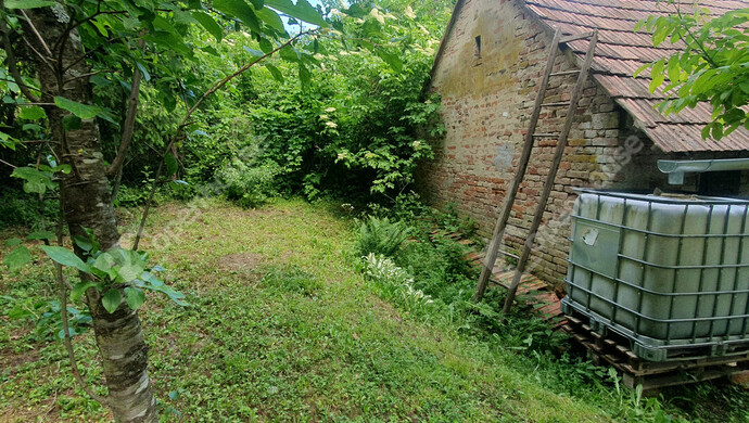 51. kép | Eladó Nyaraló, Homokkomárom (#181855)