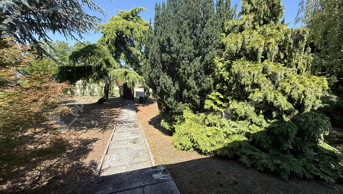 4. kép | Eladó Családi ház, Rábapatona (#176077)